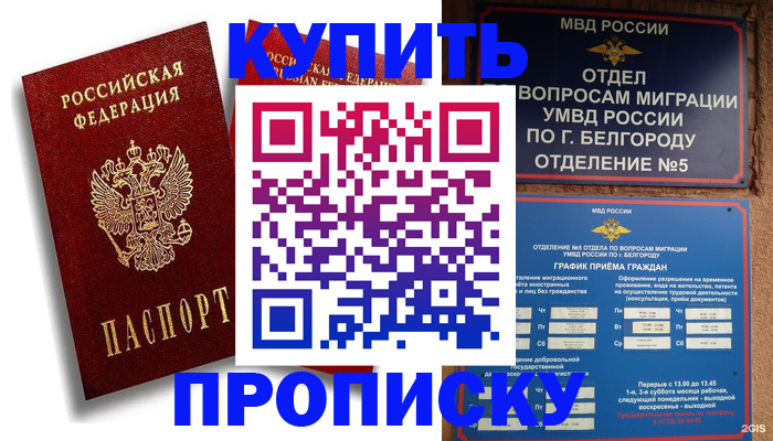 прописка иностранных граждан в Пионерском